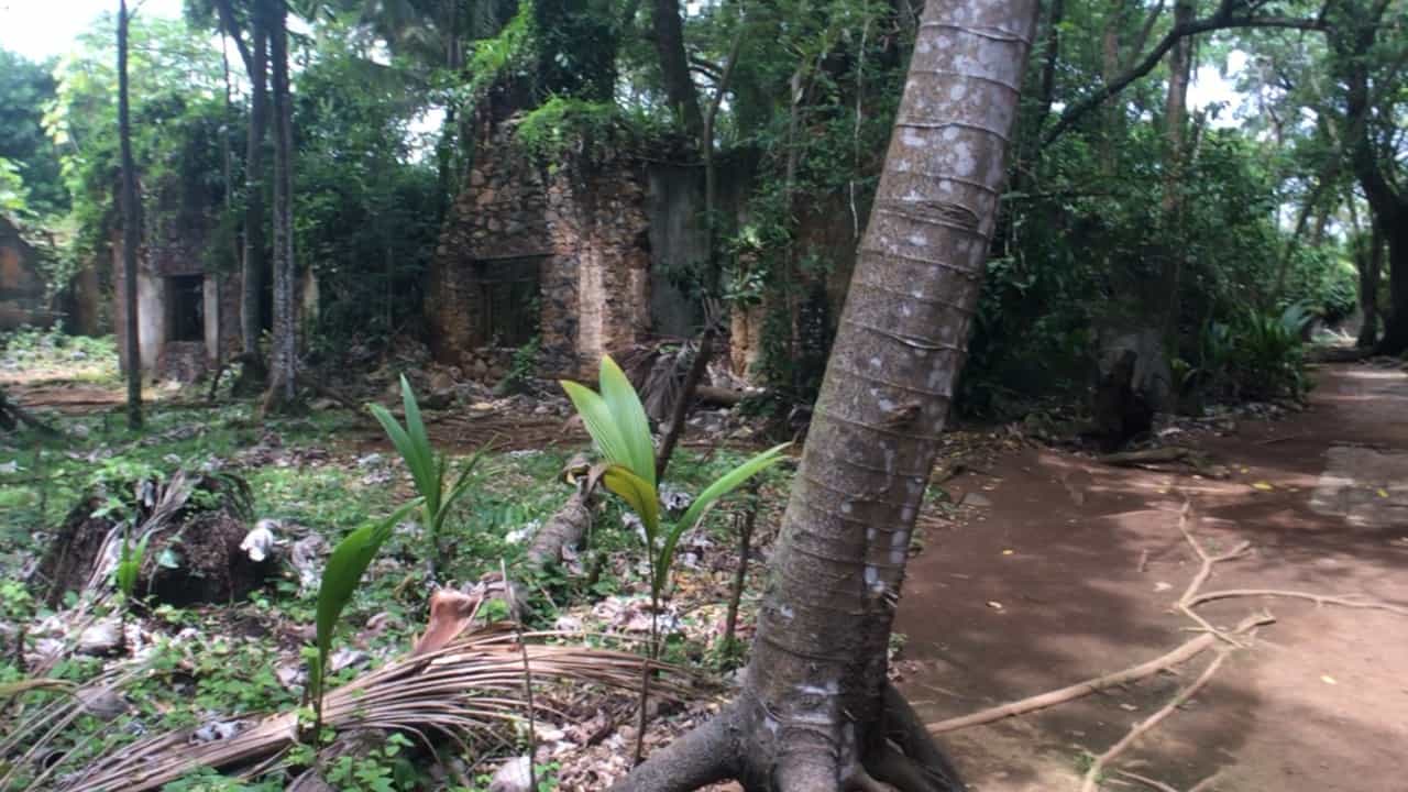 La nature au bagne des Îles du Salut